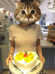 -明匠曲蛋糕西点屋(穗花新村店)