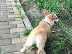 -绿堤公园