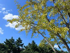 -莫内艺术岛海景咖啡