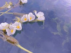 -丽江泸沽湖景区