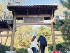 -阳台山自然风景区