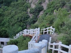 -五龙城郊森林公园