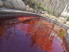 -太白山御龙湾温泉