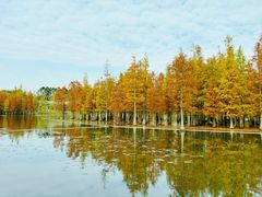 -白鹭湾湿地公园