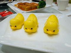 -优之名鹅城