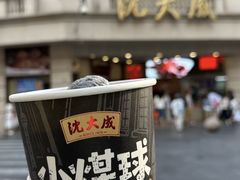 -沈大成(南京东路店)