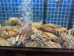 -碧海银沙海鲜餐厅(恒大海上威尼斯店)