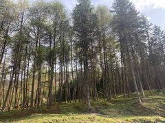 -硗碛藏寨·神木垒景区