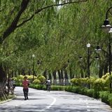 沈水湾公园