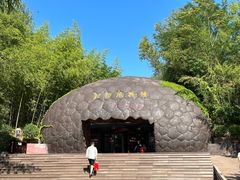 -中国西峡恐龙遗迹园