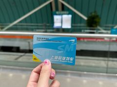 -龙阳路磁悬浮列车总站-停车场