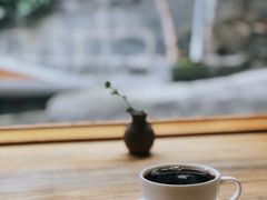 铁毕卡顶级圆豆-YLK云南小粒咖啡·云里咖(二号店)