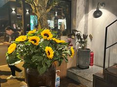 -Apollo·西班牙小酒馆(安福路店)