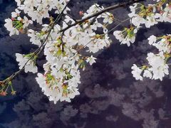 -玛格萝妮比萨屋(四平店)