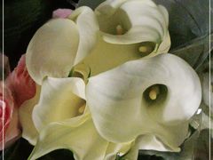 -FEI FEI FLOWER鲜花店·气球派对·宝宝宴布置(虹口德必运动Loft店)