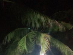 -白沙门生态公园