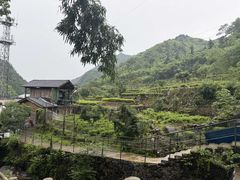 -藏龙百瀑风景区