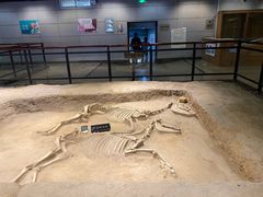 -洛阳周王城天子驾六博物馆