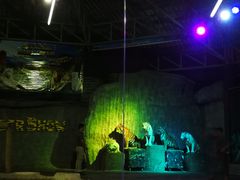 -清迈夜间动物园