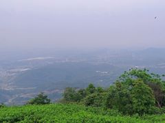 -黄埔油麻山森林公园