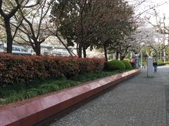 -上海南浦大桥长途旅游客运站