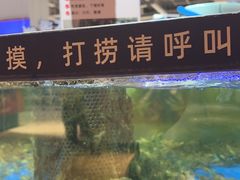 -大润发(南湖店)