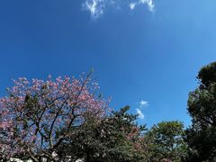 -茶米人台湾料理·精致快简餐