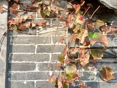 -水绘园