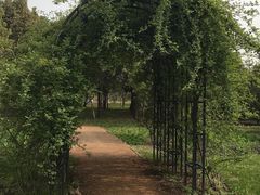 -嘉北郊野公园