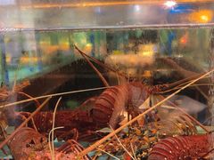 -阿伟海鲜楼·福建菜(延寿店)