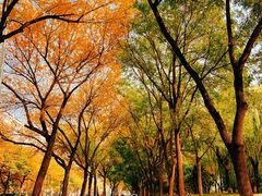 -元大都城垣遗址公园