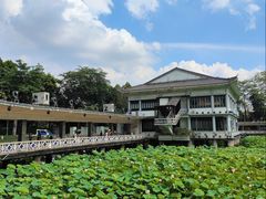 -荔湾湖公园