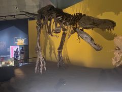 -湖南省地质博物馆