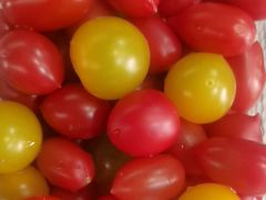 -仪雅阁·泡浴SPA养生馆