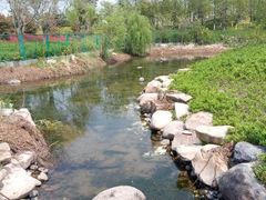 android_upload_pic-郑和公园