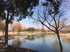 -旭宝高尔夫俱乐部