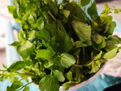 西洋菜-吉友粥底火锅(方斜路店)