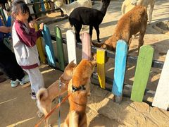 -竹泉村旅游度假区