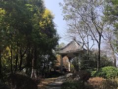 -海珠湖公园