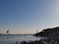 -深圳湾公园(南山区)