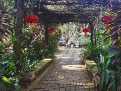 -海南热带野生动植物园