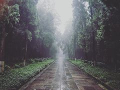 -灵谷景区
