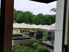 -金鸡湖大酒店·金咖啡厅(国宾路店)