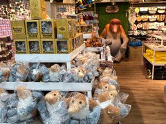 -Servay Hypermarket & Parkwell Departmental Store(SERVAY-KK PLAZA-CUP)