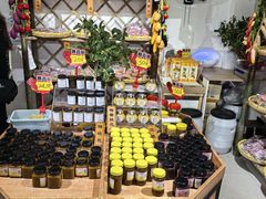 -苏州市吴中区光福窑上花果蜜饯厂