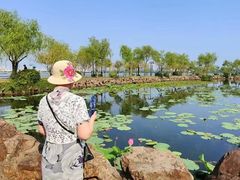 -无锡蠡湖国家湿地公园-蠡园