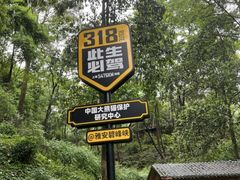 -碧峰峡风景区