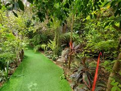 -呀路古热带植物园