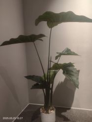 -悦润荟美容抗衰中心