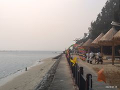 -北海金海湾红树林生态旅游区